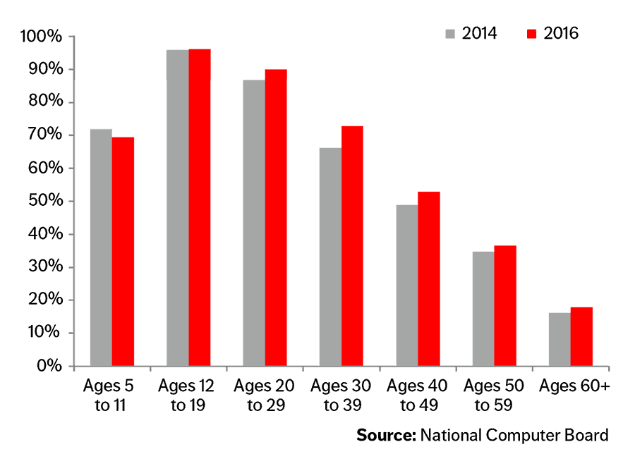 Chart Computer Literacy by Age