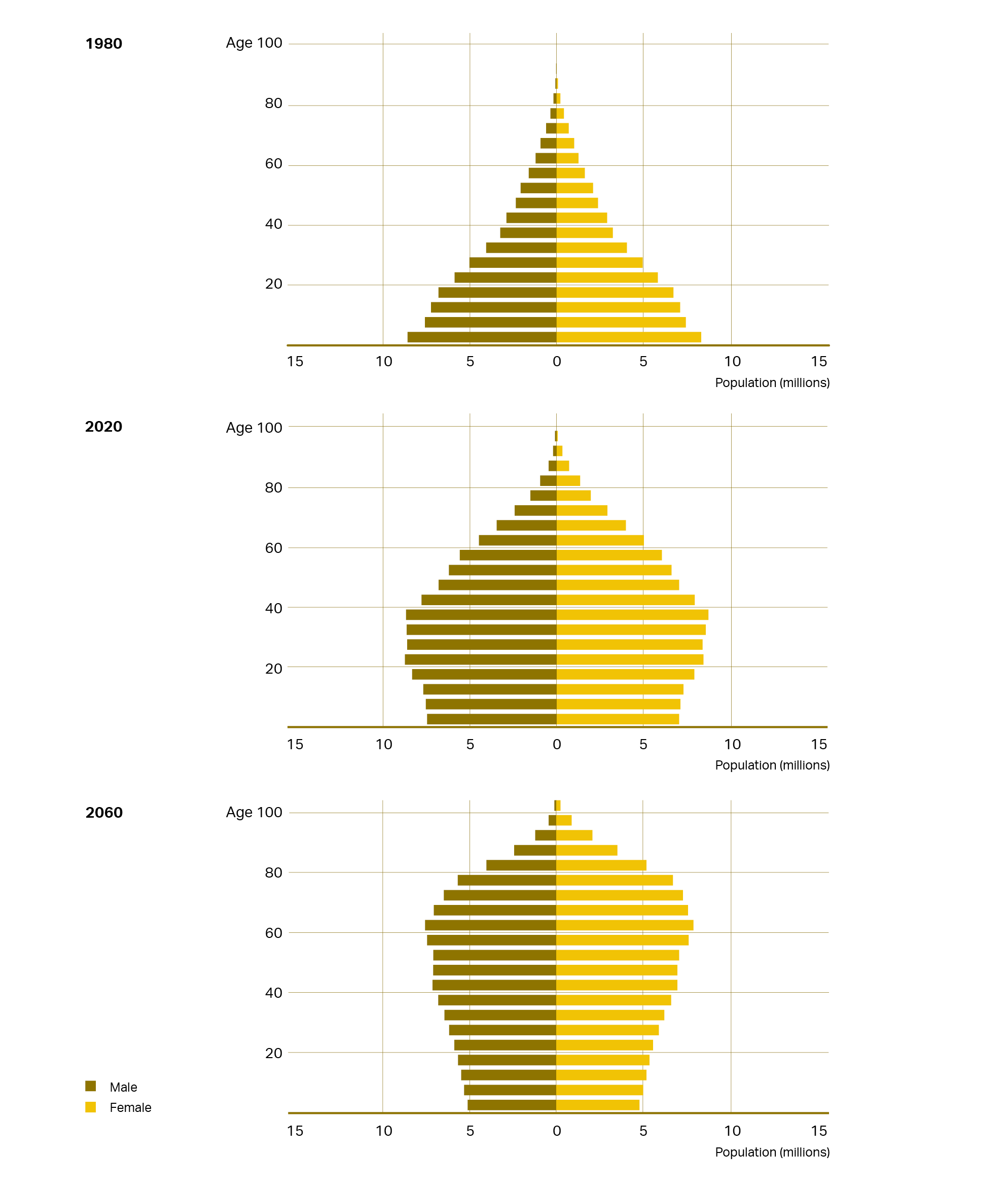 aging in brazil infographics 2