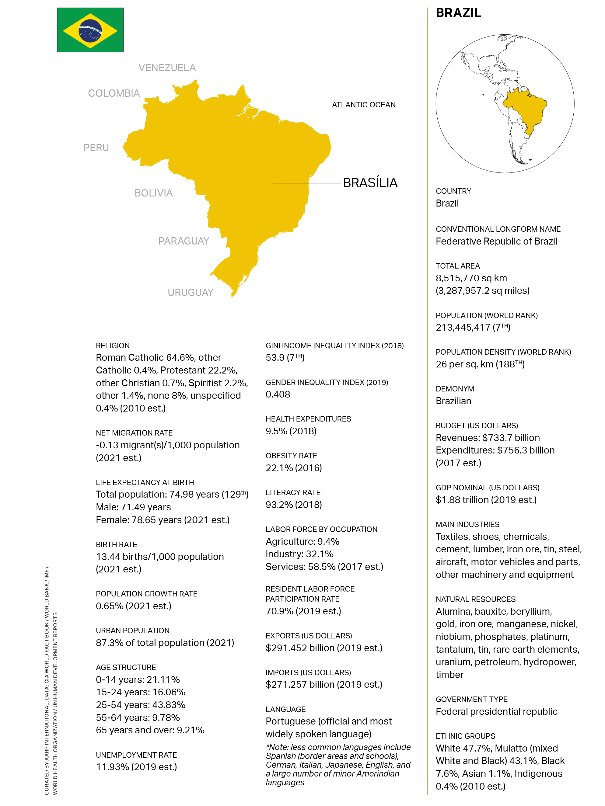brazil demographic Infograph 