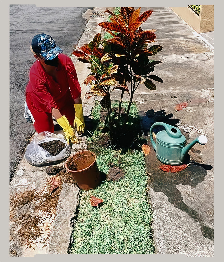 Planting trees in the front yard and gardening, a favorite pastime