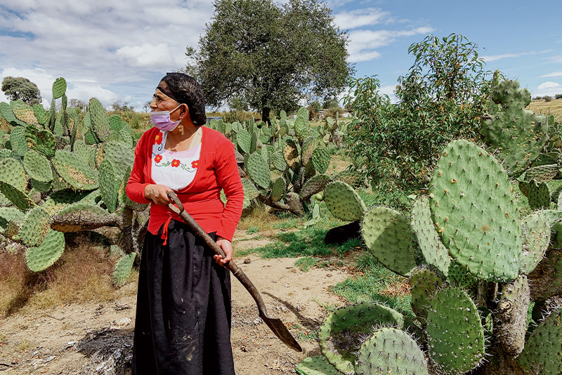 Traditional cooks in Tlaxcala, Mexico share their knowledge with a new generation